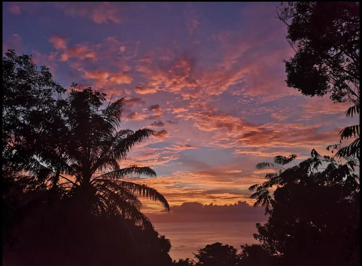 Casa Geraldo Bed & Breakfast Manuel Antonio Exterior photo